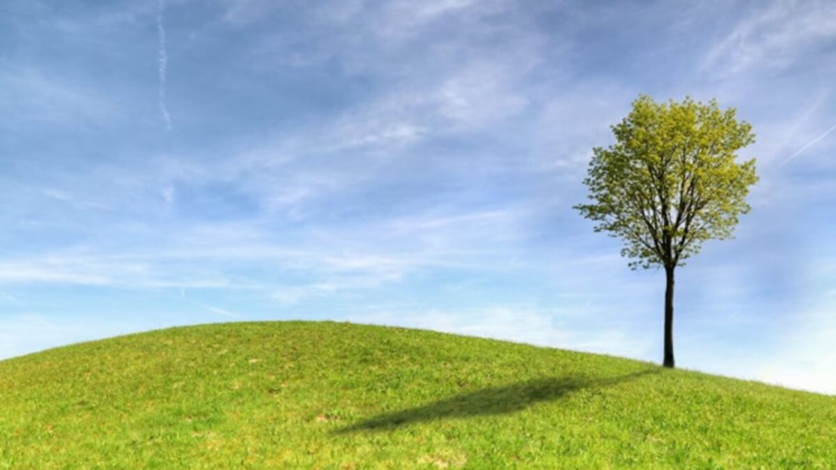 AGQ Labs refuerza la vigilancia ambiental como eje clave para el control y cumplimiento en la industria agroalimentaria.jpg